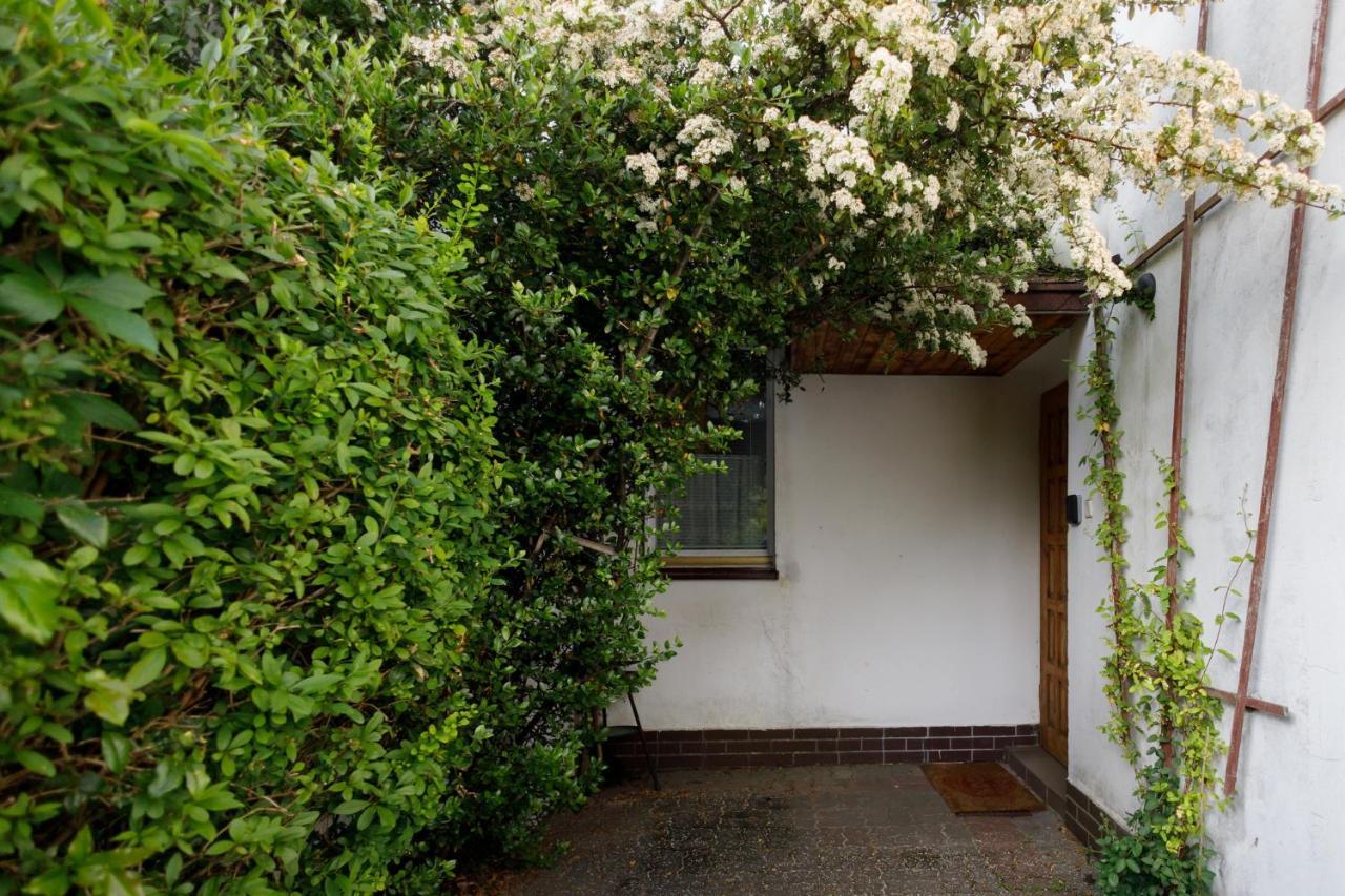 Apartament Miriada 16 Rowy  Exteriör bild